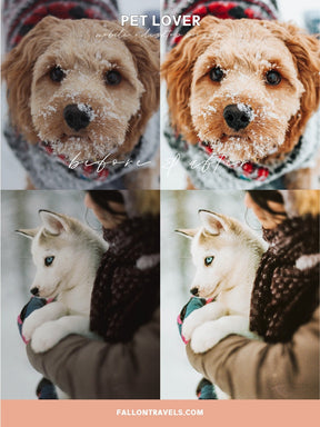 5 Mobile & Desktop Lightroom Presets Pet Lovers, Dog Cat Photo Editing Filter for Instagram, Animal Preset for Bloggers, Bright Home Filter