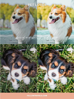 5 Mobile & Desktop Lightroom Presets Pet Lovers, Dog Cat Photo Editing Filter for Instagram, Animal Preset for Bloggers, Bright Home Filter