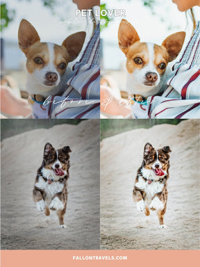 5 Mobile & Desktop Lightroom Presets Pet Lovers, Dog Cat Photo Editing Filter for Instagram, Animal Preset for Bloggers, Bright Home Filter