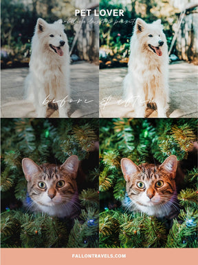 5 Mobile & Desktop Lightroom Presets Pet Lovers, Dog Cat Photo Editing Filter for Instagram, Animal Preset for Bloggers, Bright Home Filter