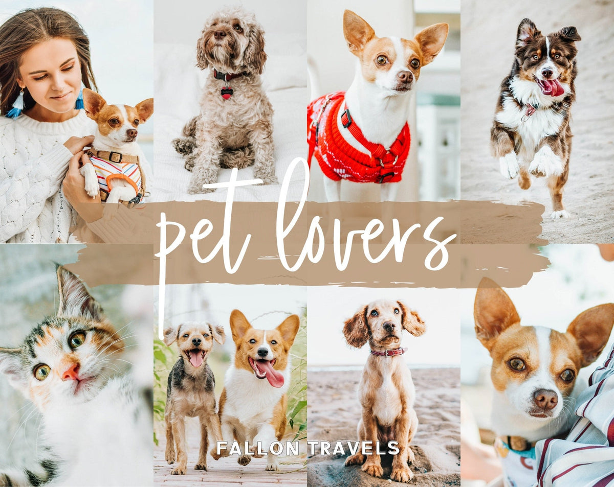 5 Mobile & Desktop Lightroom Presets Pet Lovers, Dog Cat Photo Editing Filter for Instagram, Animal Preset for Bloggers, Bright Home Filter