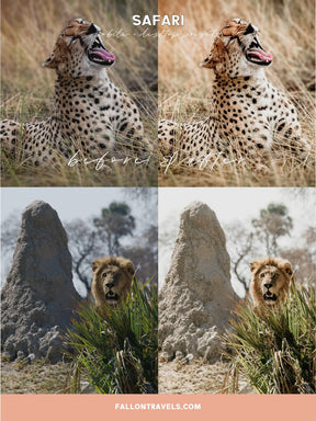 5 Safari Mobile Lightroom Presets & Desktop, Africa Outdoor Photo Editing Filter for Travel Bloggers, Instagram Influencer Presets