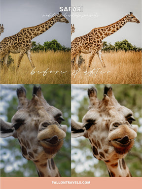 5 Safari Mobile Lightroom Presets & Desktop, Africa Outdoor Photo Editing Filter for Travel Bloggers, Instagram Influencer Presets