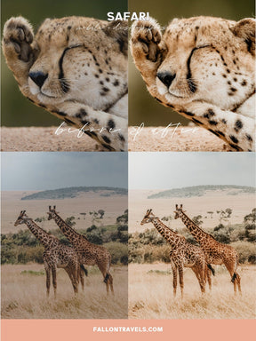 5 Safari Mobile Lightroom Presets & Desktop, Africa Outdoor Photo Editing Filter for Travel Bloggers, Instagram Influencer Presets