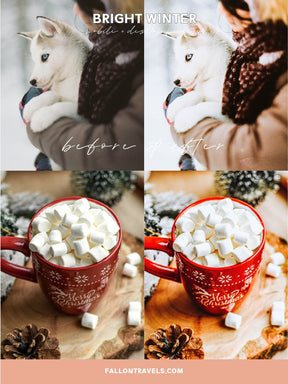 5 Bright Winter Lightroom Mobile & Desktop Presets, Christmas Snow Photo Editing Filter for Holiday, Instagram Blogger Snowy Preset
