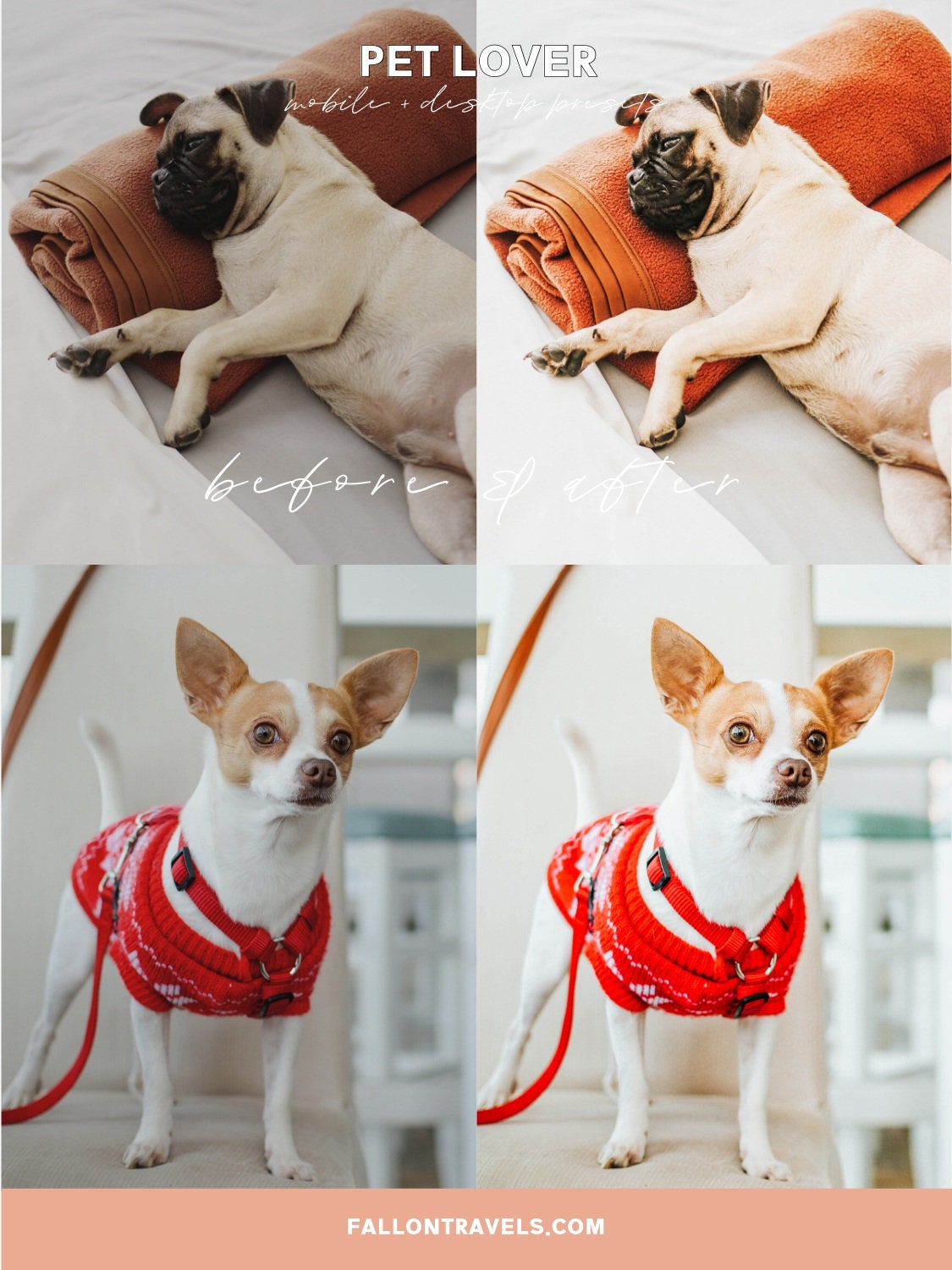 5 Mobile & Desktop Lightroom Presets Pet Lovers, Dog Cat Photo Editing Filter for Instagram, Animal Preset for Bloggers, Bright Home Filter