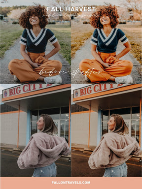 5 Fall Harvest Mobile & Desktop Lightroom Presets, Cozy Autumn Tones Filter for Fall Instagram Photo, Warm Outdoor Preset