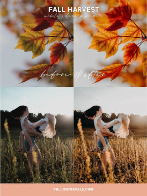 5 Fall Harvest Mobile & Desktop Lightroom Presets, Cozy Autumn Tones Filter for Fall Instagram Photo, Warm Outdoor Preset