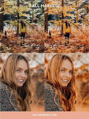 5 Fall Harvest Mobile & Desktop Lightroom Presets, Cozy Autumn Tones Filter for Fall Instagram Photo, Warm Outdoor Preset
