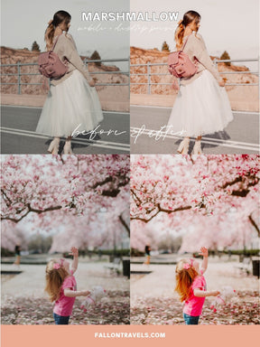 5 Marshmallow Lightroom Mobile & Desktop Presets, Light Airy Photo Editing Filter for Instagram, Pink Travel Blogger Influencer Presets