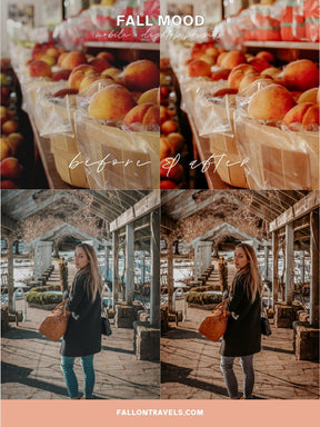 5 Fall Mood Lightroom Mobile Presets & Desktop, Moody Halloween Tones, Photo Editing Filter for Instagram, Warm Dark Colors