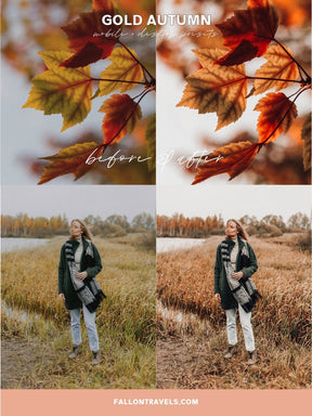 5 Gold Autumn Mobile & Desktop Lightroom Presets, Warm Glow Filter for Fall Instagram Photo, Light Golden Tones Outdoor Preset