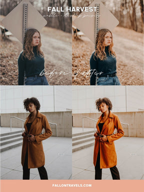 5 Fall Harvest Mobile & Desktop Lightroom Presets, Cozy Autumn Tones Filter for Fall Instagram Photo, Warm Outdoor Preset