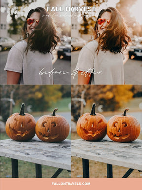 5 Fall Harvest Mobile & Desktop Lightroom Presets, Cozy Autumn Tones Filter for Fall Instagram Photo, Warm Outdoor Preset