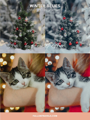 5 Winter Blues Lightroom Mobile & Desktop Presets, Cool Christmas Tones Photo Editing for Instagram, Xmas Season iPhone Filter