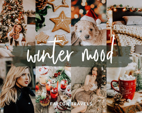 40 Winter Holiday Lightroom Presets Bundle, Mobile & Desktop Christmas Tones Photo Editing Pack, Instagram Snow Filters for Bloggers